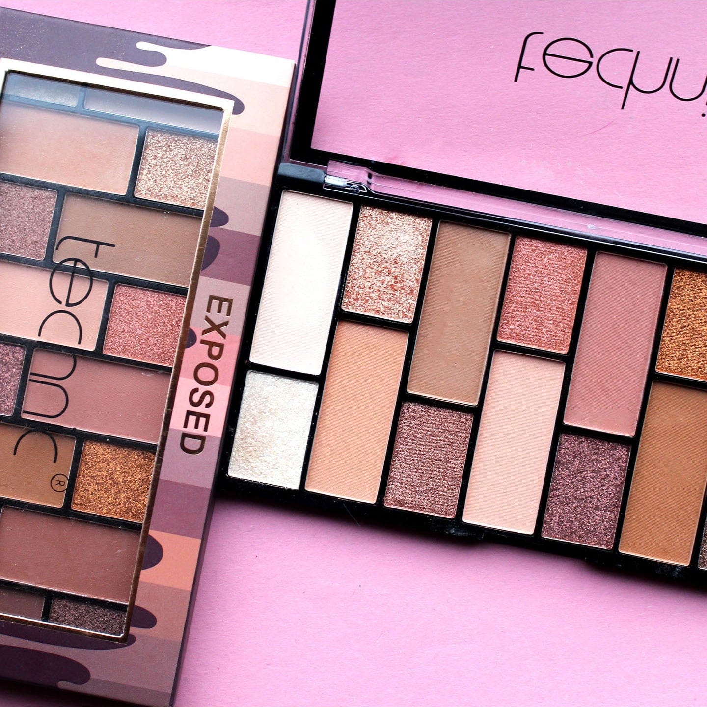 Technic Shadow Pallete :  exposed