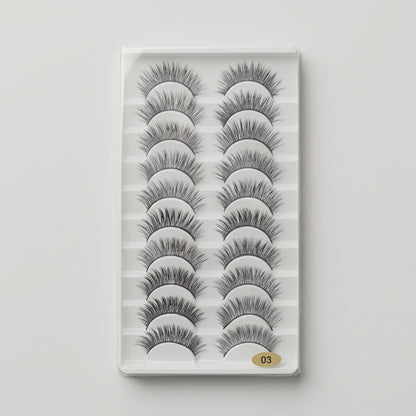 3D Eyelashes Set (10 Pairs)